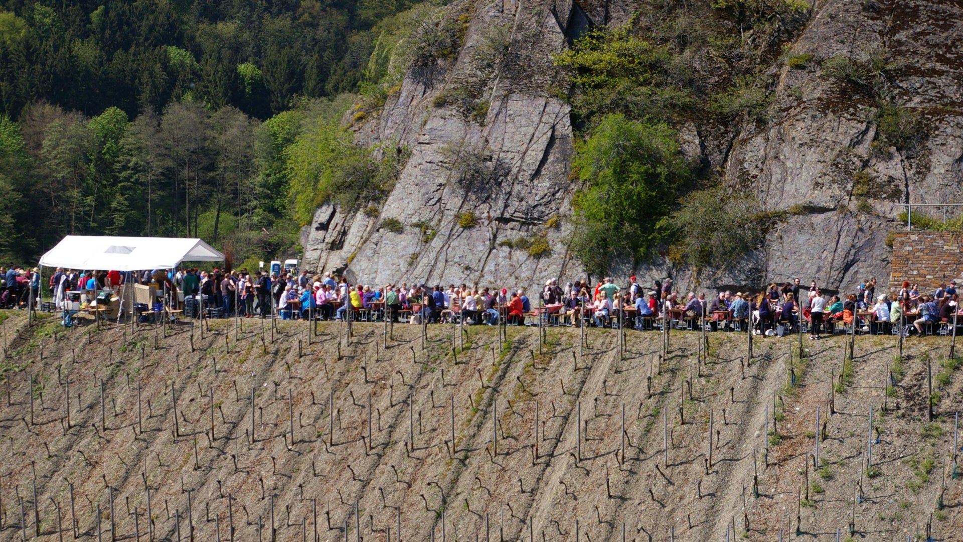 Weinfrühling | © Tourist Information Boppard Weinfrühling | © Tourist Information Boppard