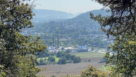Remagen Rundwanderweg A5 - Panoramaweg | &copy; Tourist-Information Remagen, Mittelrhein