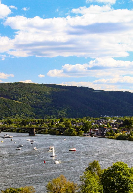 Ausblick vom Marienberg | &copy; Weingut Schwaab
