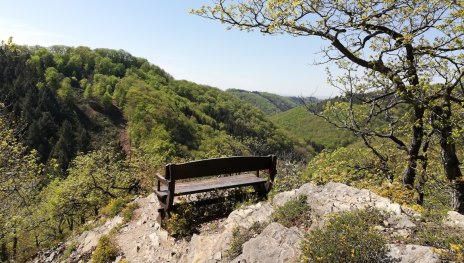 Traumschleife Hasenkammer | &copy; Tourist Information Boppard, Mittelrhein