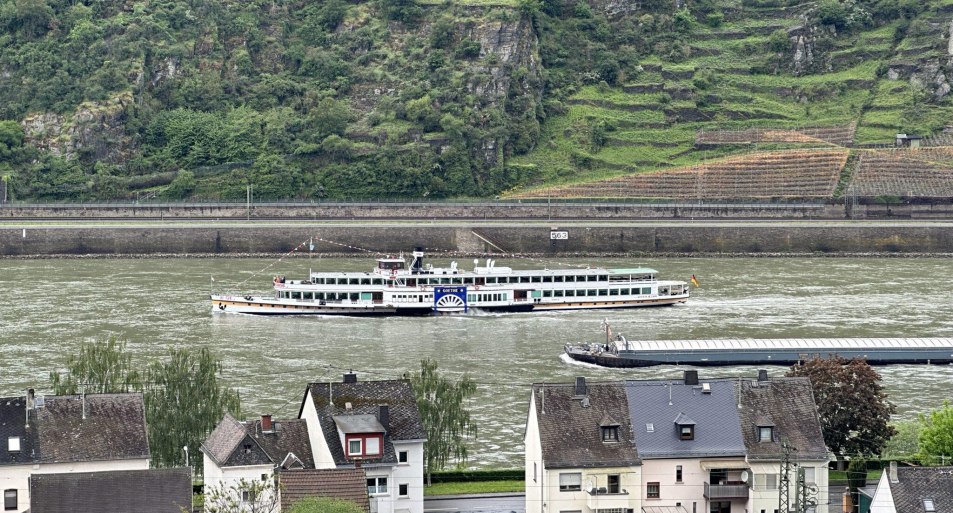 Goethe | &copy; Kipping