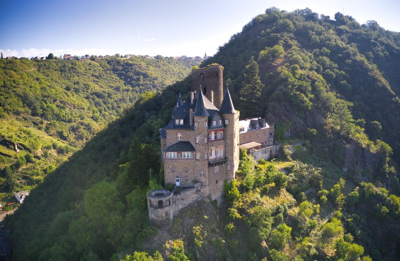 Katz | &copy; Sebastian Reifferscheid