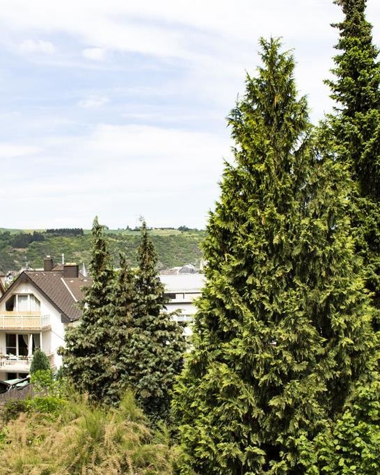 Ausblick 3 | &copy; Manuela M&uuml;ller