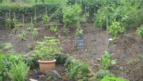 Neubeflanzung | &copy; Landgasthof Zum weissen Schwanen