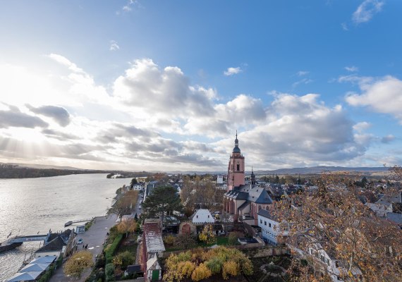 Kurf&uuml;rstliche Burg Eltville1 | &copy; Rheingau- Taunus Kultur und Tourismus GmbH/ Saskia Marloh