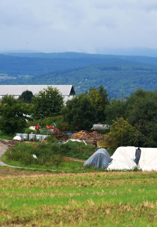 Br&uuml;ckners L&auml;dchen3 | &copy; Manfred und PIa Br&uuml;ckner