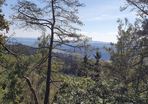 Weitblick am Kleinmödersnack | © T. Biersch Weitblick am Kleinmödersnack | © T. Biersch