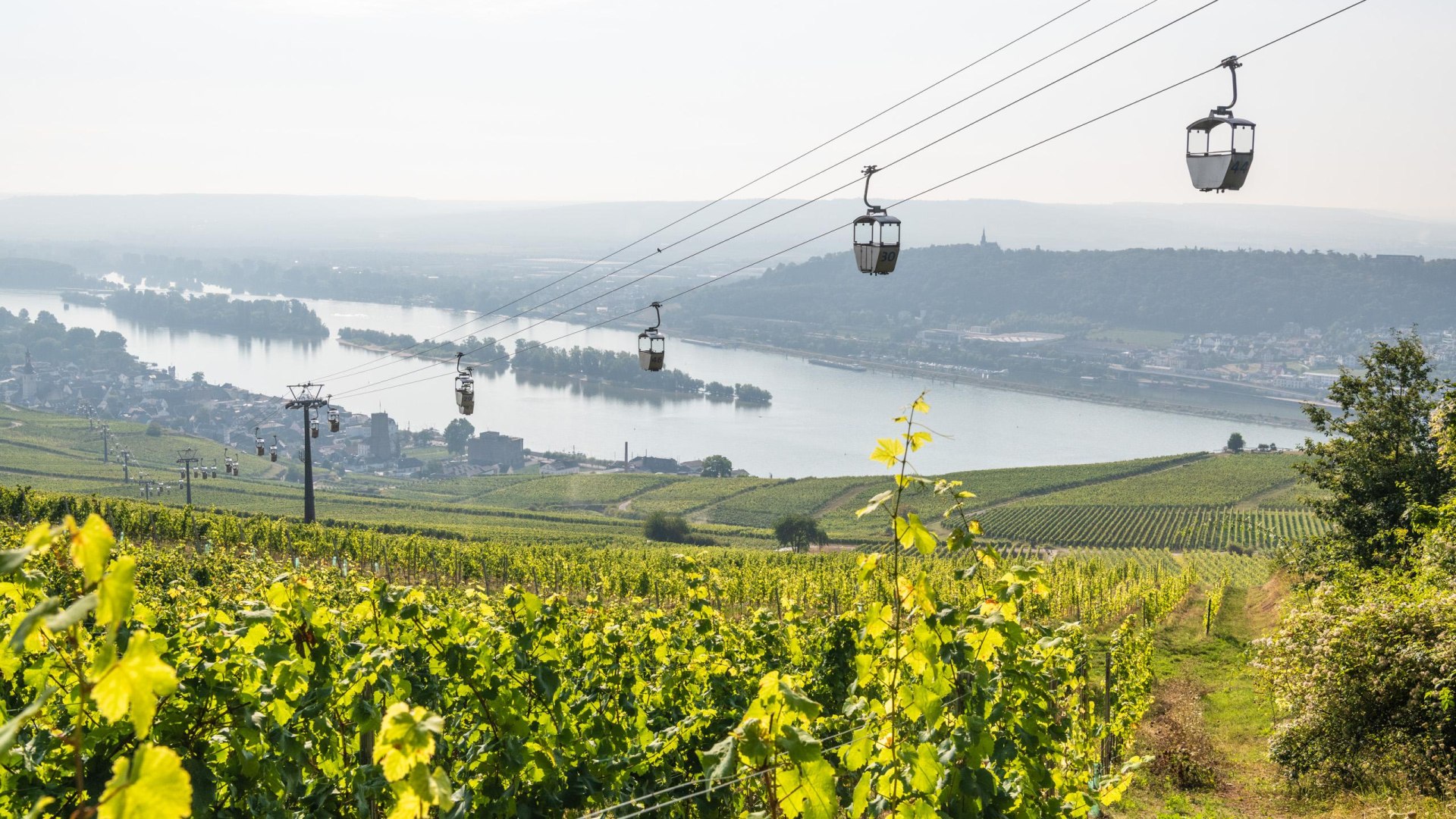 Seilbahn in Rüdesheim | © Dominik Ketz / Bingen Tourismus & Kongress GmbH Seilbahn in Rüdesheim | © Dominik Ketz / Bingen Tourismus & Kongress GmbH