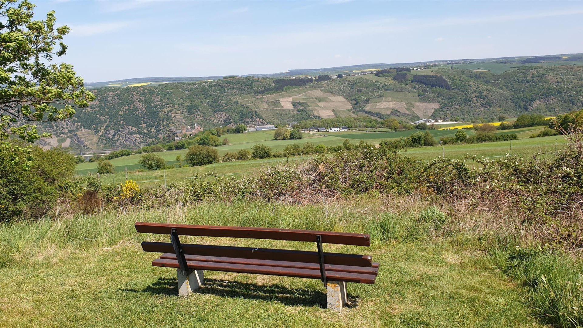 Sch&ouml;nburgblick | &copy; Tourist-Information Oberwesel