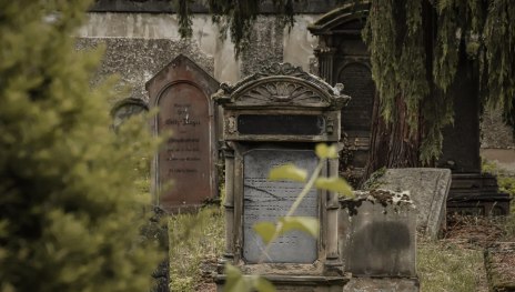 Jüdischer Friedhof Koblenz | © Johannes Bruchhof Jüdischer Friedhof Koblenz | © Johannes Bruchhof