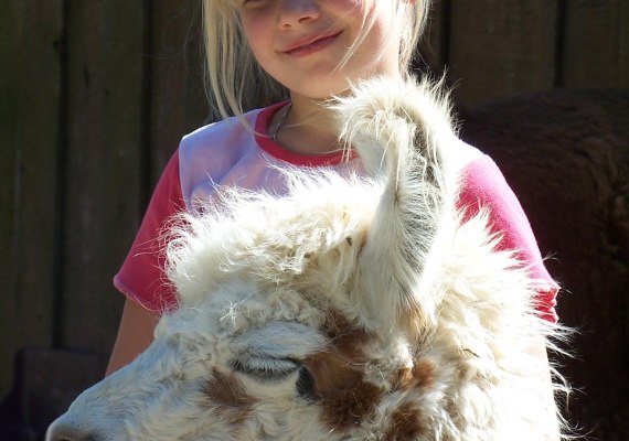 Lama- und Alpakafarm Kisselmühle | © Lama- und Alpakafarm Kisselmühle Lama- und Alpakafarm Kisselmühle | © Lama- und Alpakafarm Kisselmühle