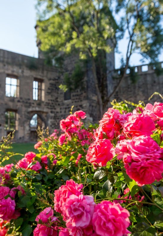 Stadtburg | &copy; 90 Grad Photography/Hilger & Schneider GbR