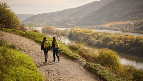 Wandern mit Blick auf den Rhein | &copy; Marco Rothbrust, Romantischer Rhein Tourismus GmbH