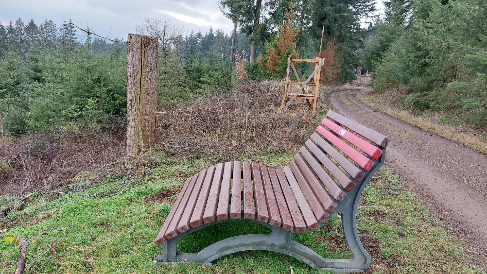 Ruhebank Damscheidblick | © T. Biersch Ruhebank Damscheidblick | © T. Biersch