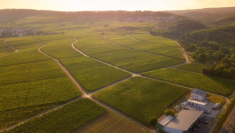 Weingut Sohns | &copy; Weingut Sohns