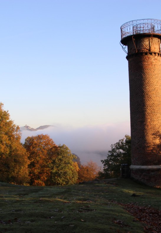 Aussichtsturm | &copy; Tessa von L&uuml;dinghausen