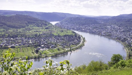 Rhein | &copy; Sebastian Reifferscheid