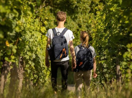 So schmeckts im Rheingau | © Balthasar Ress So schmeckts im Rheingau | © Balthasar Ress