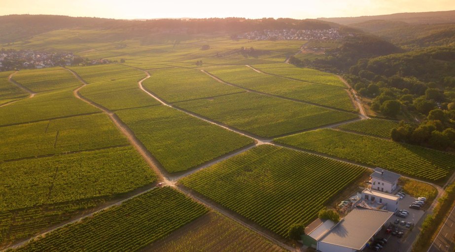 Weingut Sohns Luftaufnahme | &copy; Leonie Magnus