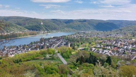 Aussicht Lützelforst | © TI Erlebnis Rheinbogen Aussicht Lützelforst | © TI Erlebnis Rheinbogen