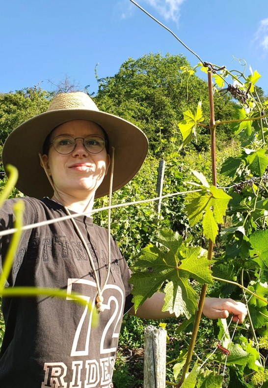 Laubarbeiten im Weingut Volk, Jule Volk | © Weingut Volk Laubarbeiten im Weingut Volk, Jule Volk | © Weingut Volk