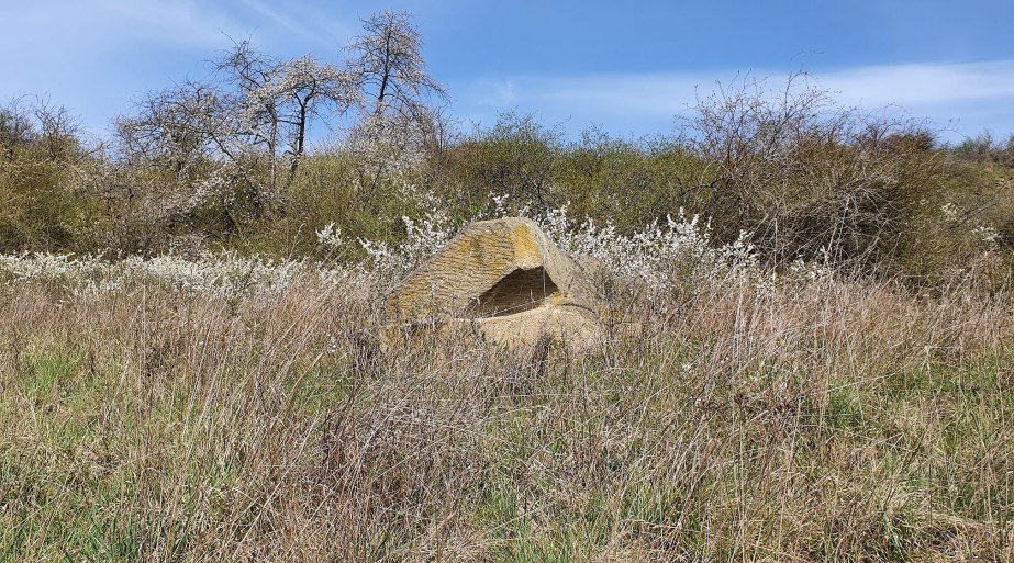 Liegende 1 | © T. Biersch Liegende 1 | © T. Biersch