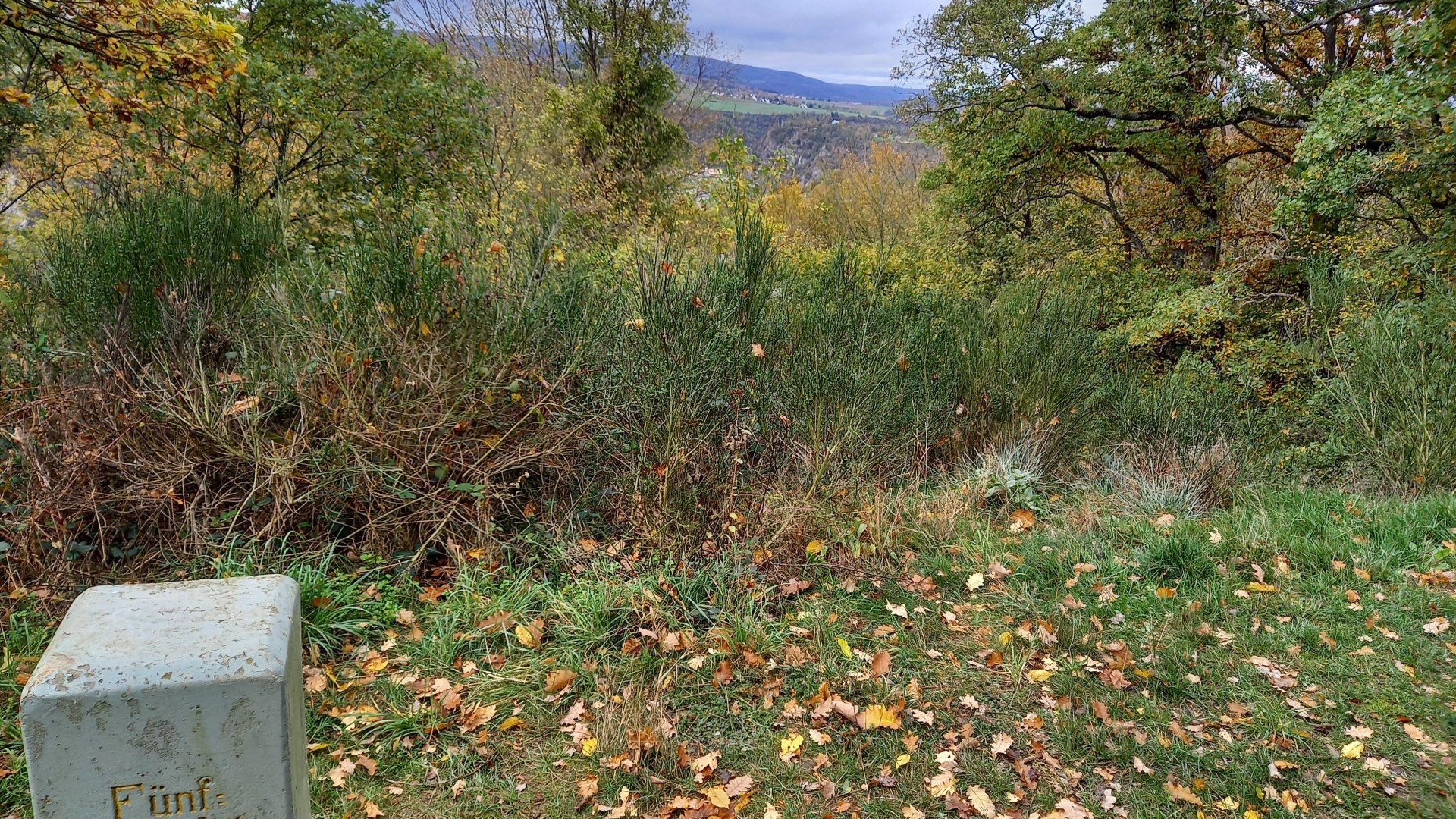 F&uuml;nf-Seen-Platz | &copy; Loreley Touristik GmbH