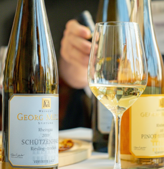 Riesling_Kompakt | &copy; Georg M&uuml;ller Stiftung - Bachhuber