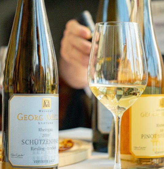 Riesling_Kompakt | &copy; Georg M&uuml;ller Stiftung - Bachhuber