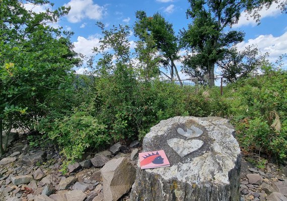 mit Buch | &copy; Ulrike Dallmann