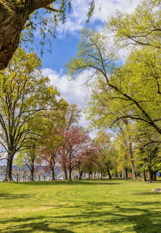 Hafenpark 4 | © Rheingau- Taunus Kultur und Tourismus GmbH Hafenpark 4 | © Rheingau- Taunus Kultur und Tourismus GmbH