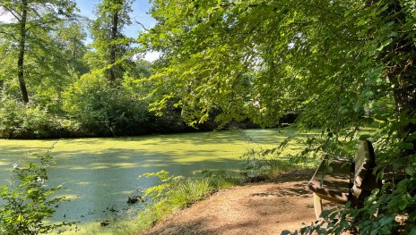 Remagen Rundwanderweg A4 - Um den Scheidskopf | &copy; Tourist-Information Remagen, Romantischer Rhein Tourismus GmbH