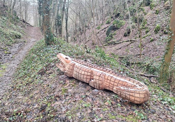 Krokodil im Heimbachtal | &copy; T. Biersch