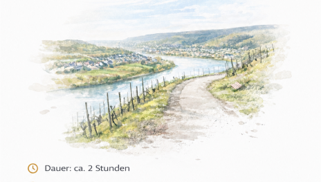 Wein | © Familie Lorenz Wein | © Familie Lorenz