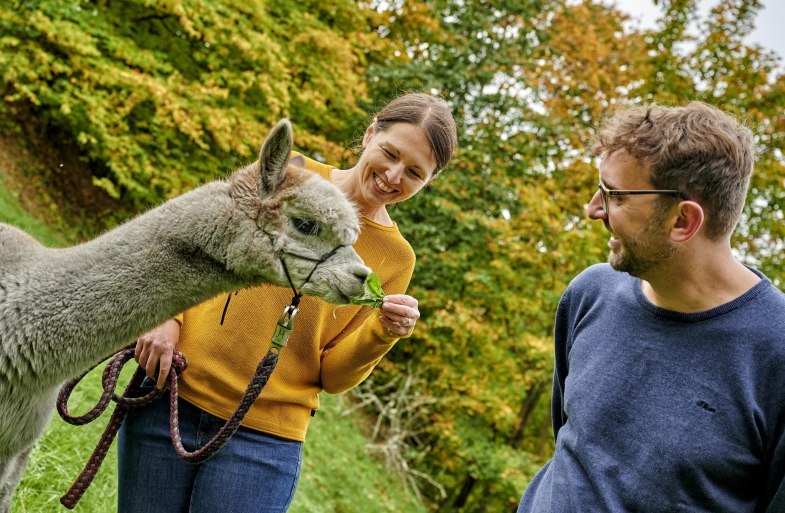 Alpakas | &copy; Florian Trykowski