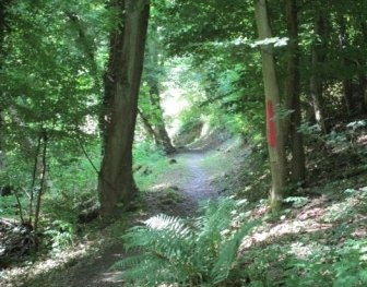 Heimbachtal St. Goar-Fellen | &copy; Sandra Schnober, Stadt St. Goar