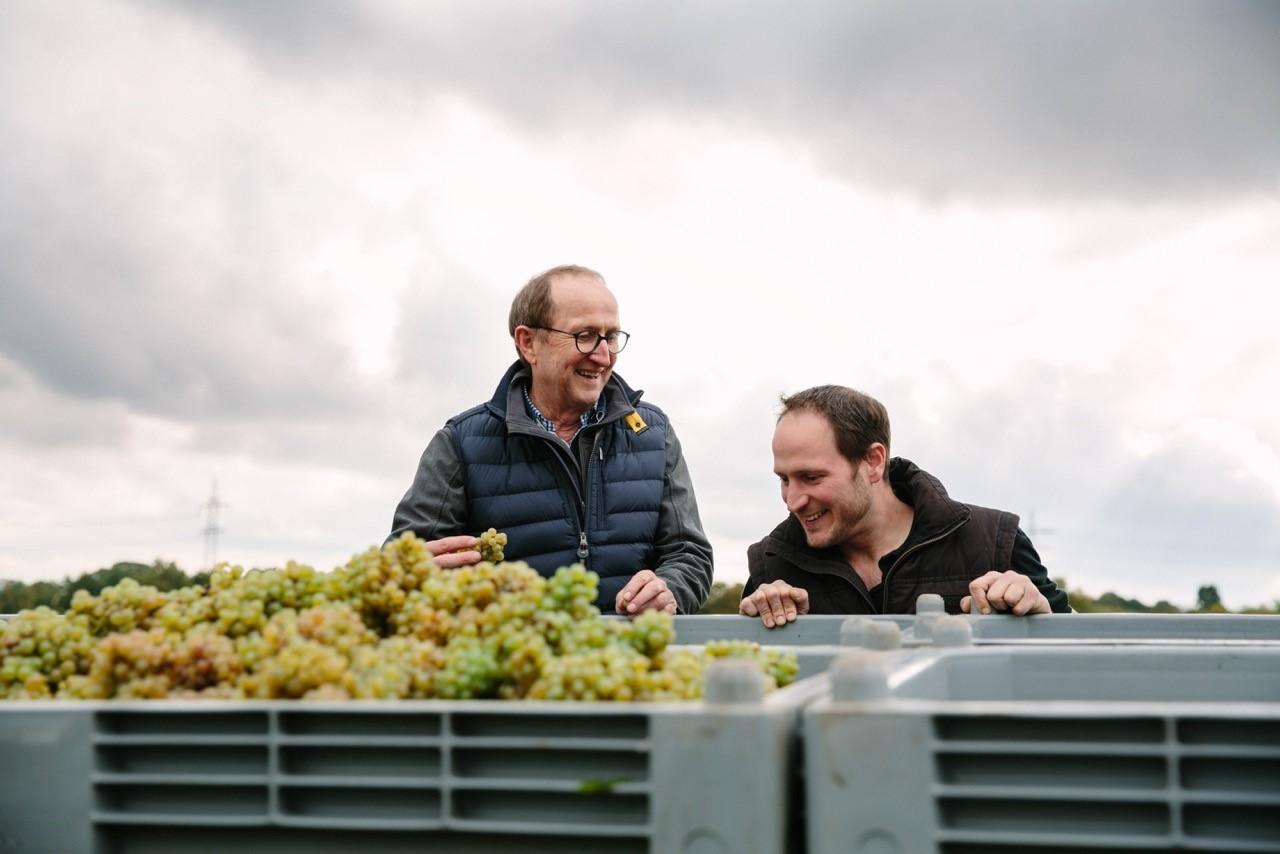 Weinlese Jakob Jung | © Weingut Jakob Jung Weinlese Jakob Jung | © Weingut Jakob Jung