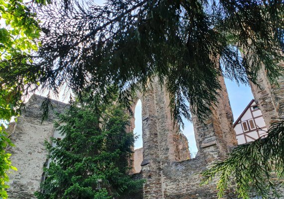 Kloster | &copy; S. Gl&ouml;ckner, Oberwesel