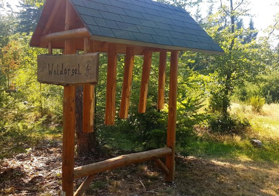 Waldorgel | &copy; T. Biersch