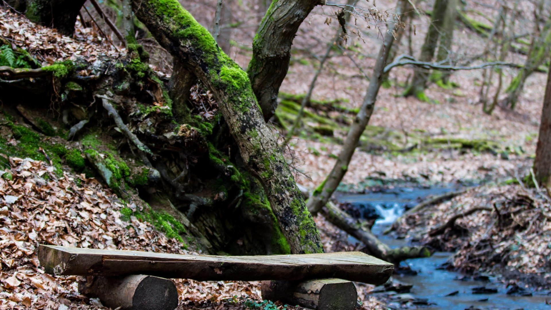 Pulsbachklamm | &copy; Joachim Hewel