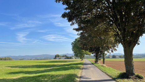 Remagen Rundwanderweg A2 - Auf Kirres | &copy; Tourist-Information Remagen, Mittelrhein
