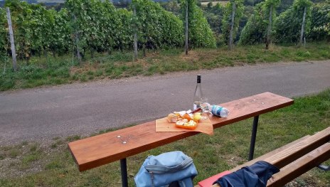 Picknickbank am Weinberg | © E. Bender Picknickbank am Weinberg | © E. Bender