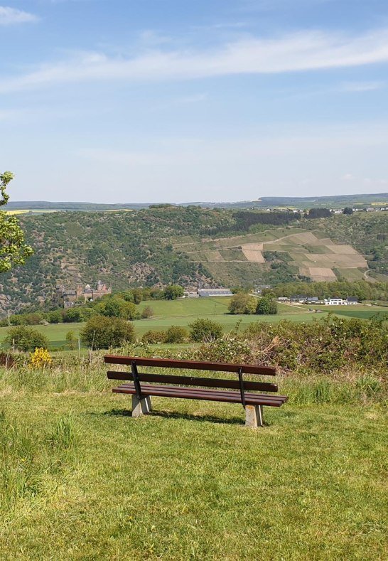 Sch&ouml;nburgblick 3 | &copy; Tourist-Information Oberwesel