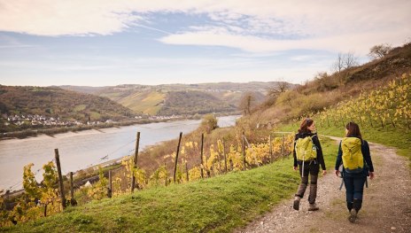 Durch die Weinberge | &copy; Marco Rothbrust, Romantischer Rhein Tourismus GmbH