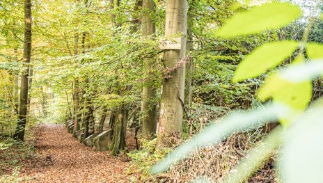 © Dominik Ketz, Shapefruit AG