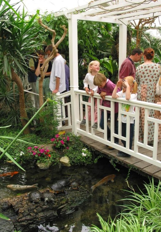 Garten der Schmetterlinge | © Garten der Schmetterlinge Schloss Sayn Garten der Schmetterlinge | © Garten der Schmetterlinge Schloss Sayn