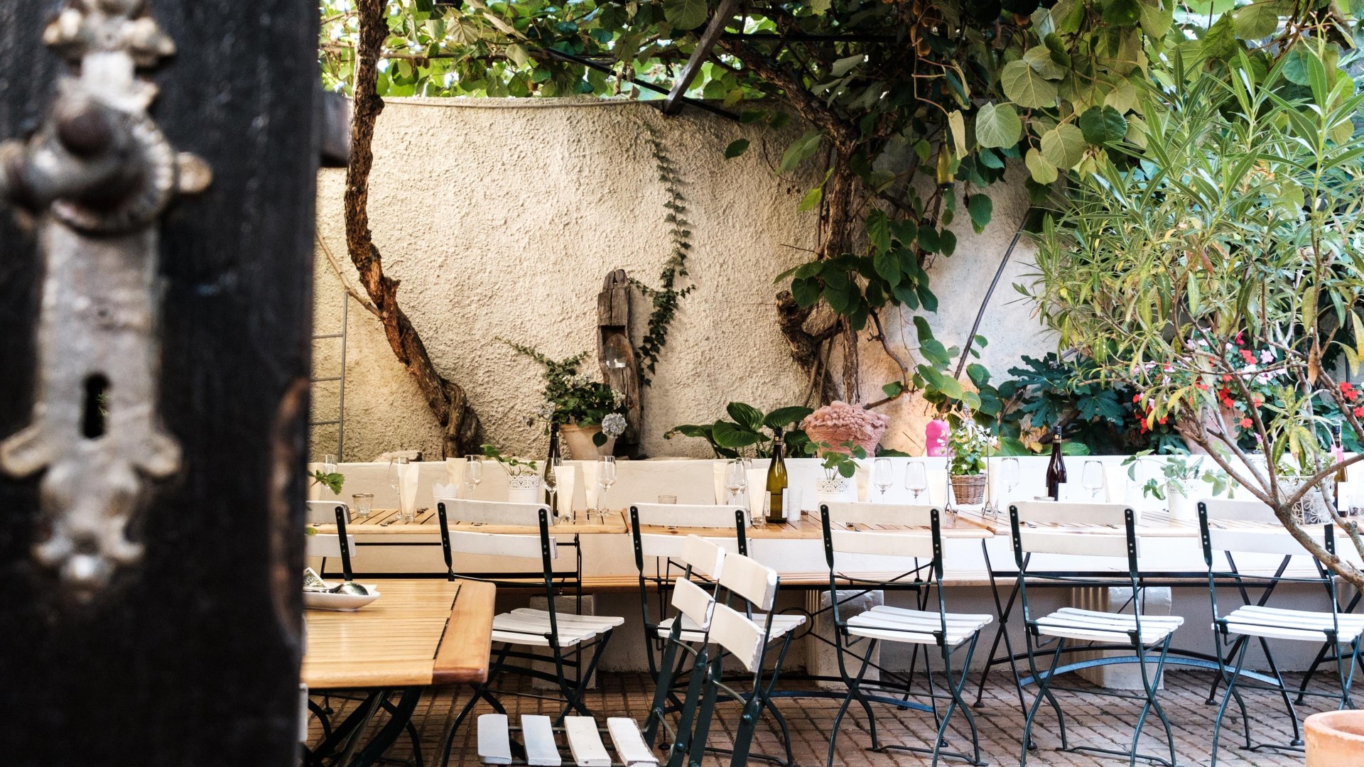 Weingut Hamm | © Weingut Hamm Weingut Hamm | © Weingut Hamm