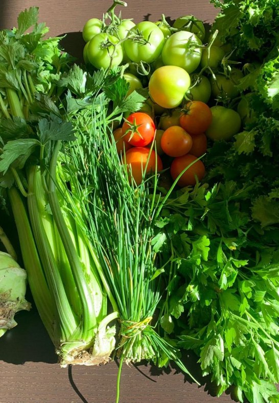 5 | © Katringer Grünzeug eG 5 | © Katringer Grünzeug eG