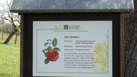 Streuobst-Lehrpfad Waldorf (Vinxtbachtal) | &copy; Frank Srol, Mittelrhein