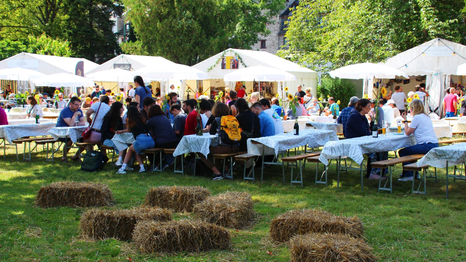 Festwiese | &copy; RNT